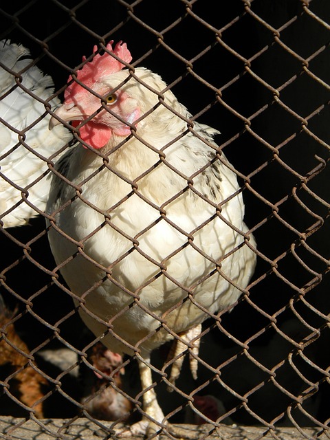 能够实时观 能够实时观
