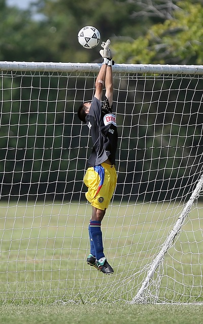 原则安排 原则安排