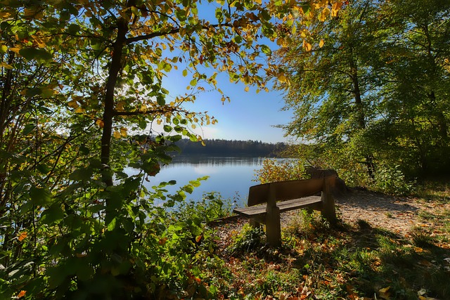 成为行业增 成为行业增