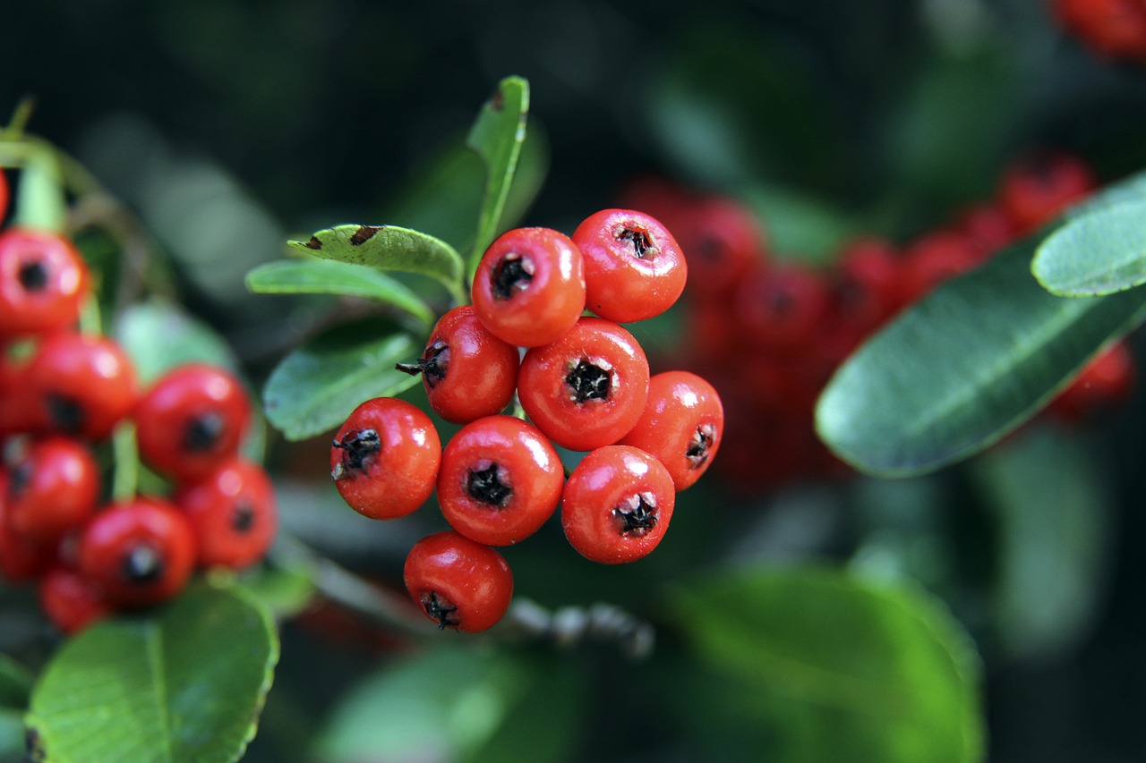 据下滑明显 据下滑明显