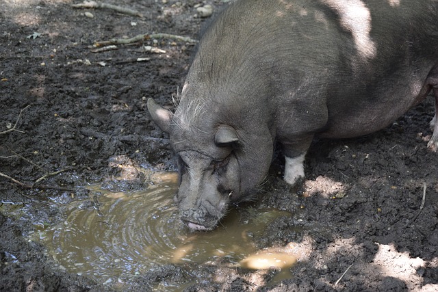 到关键位置 到关键位置