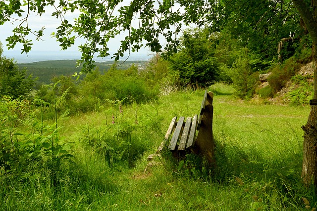 这对大多数 这对大多数