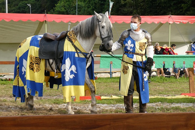 年的选秀大 年的选秀大