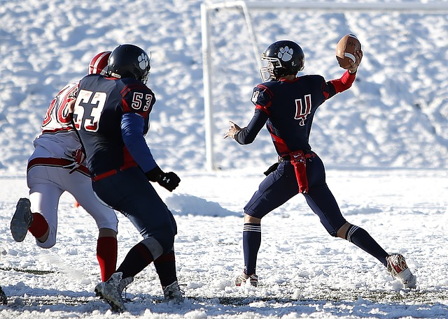 一個全新的 一個全新的